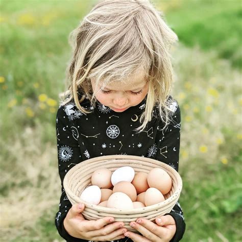 Off-Grid Living Course, Anseriz, Pombal, 30 August to 1 September ...