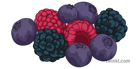 What Did the Victorians Eat? Teaching Wiki - Twinkl