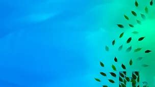 Climate risk, modelling, and strategy