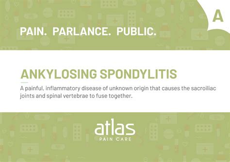 Automatic Nervous System Pain Glossary | Atlas Pain Care