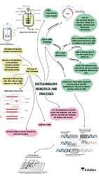 Mindmap: Biotechnology - Principles and Process - Biology Class 12 ...