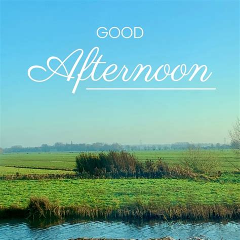 100+ Good Afternoon Wishes, Messages & Quotes - 2025
