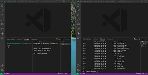 vs Code Terminal Window 的图像结果