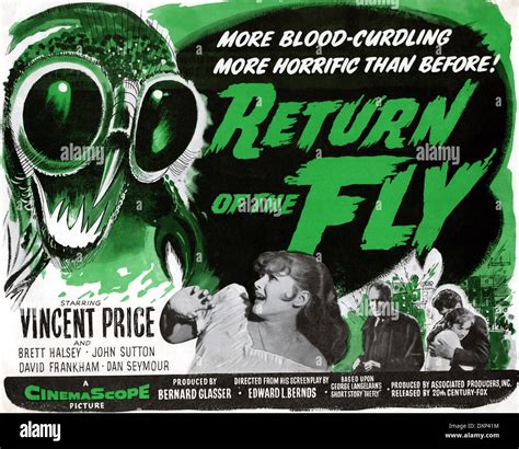 RETURN OF THE FLY Stock Photo - Alamy