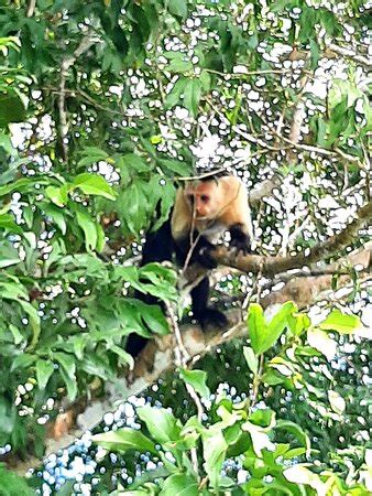 TRUCK SAFARI ADVENTURES - Panama City | Tripadvisor