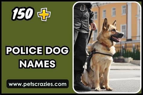 Image result for Code.org Direction