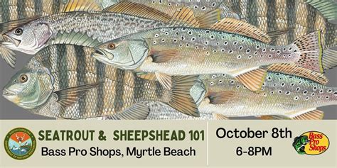 Seatrout and Sheepshead Fishing 101, Bass Pro Shops, Myrtle Beach, 8 ...