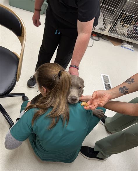 Pine Point Animal Hospital (@pinepointvet) • Instagram photos and videos