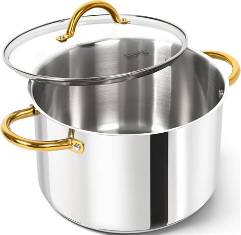 Amazon.com: Stockpot – 8 Quart – Brushed Stainless Steel – Heavy Duty ...