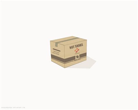 Metal Gear Solid Snake Box
