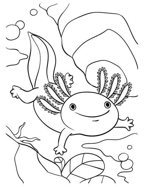 Axolotl Malvorlagen Fantasievoll-Vektoren – Lade kostenlose ...