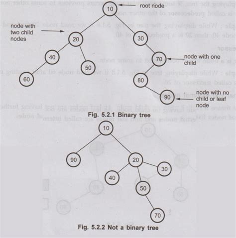 Binary Trees - Definition, Operations, Structure, Types | Non-Linear ...