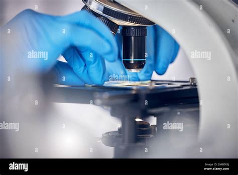 Biotechnology Bacteria 的图像结果