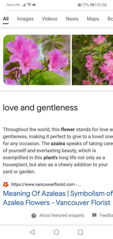 Azalea Flower Meaning and Types