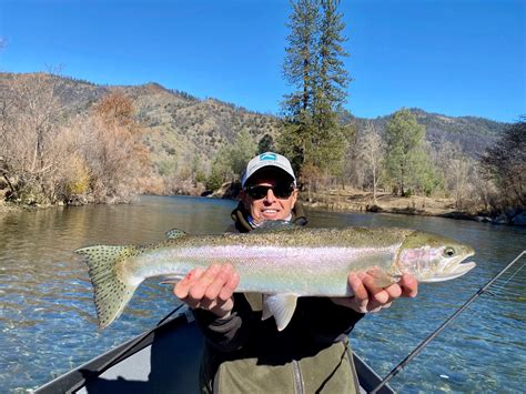 Trinity River Fish Report - Trinity River - Steelhead fishing report on ...