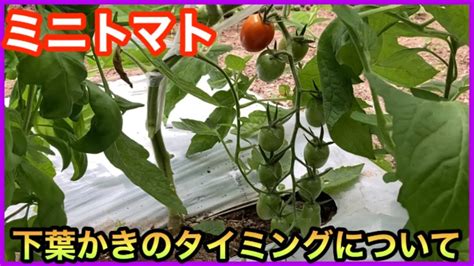Image result for Problem Frame Software