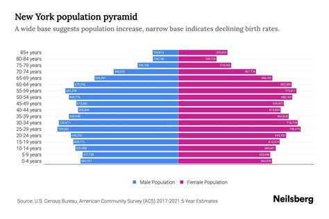 New York Population by Age - 2023 New York Age Demographics | Neilsberg