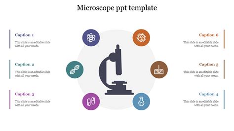 Microscope Example Slide 的图像结果