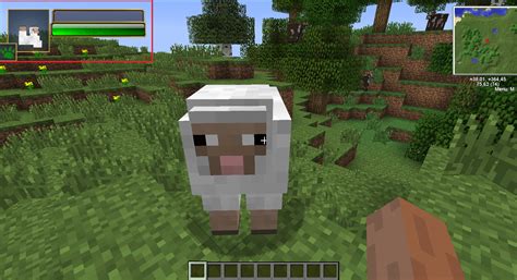 How to See Damage Minecraft Java 的图像结果