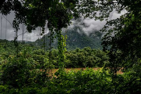 Conservative Nature Pictures 的图像结果