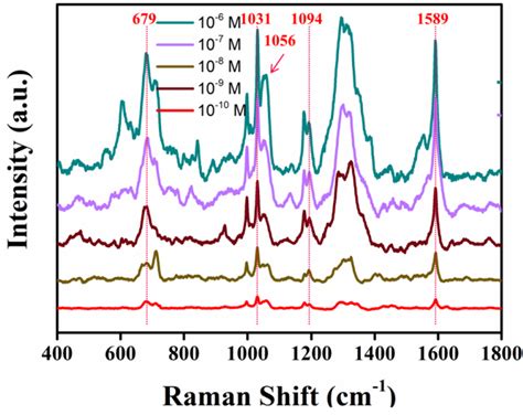 ZnO Tips Dotted with Au Nanoparticles—Advanced SERS Determination of ...