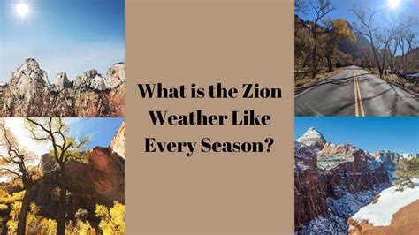 Enjoy Each Season's Unique Charm: Comprehensive Zion Weather Guide