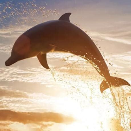 Versace Yellow Diamond Eau de Toilette Spray, 30Ml for Women : VERSACE ...