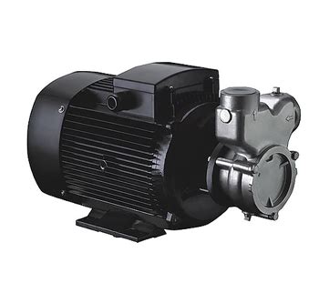 Self priming gas liquid pump, CNP Pumps India, Manufacturers of Self ...