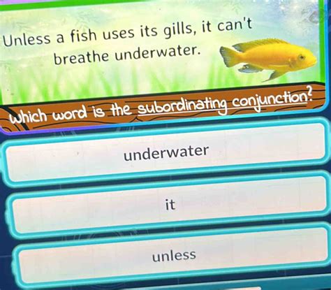 Solved: Unless a fish uses its gills, it can't breathe underwater ...