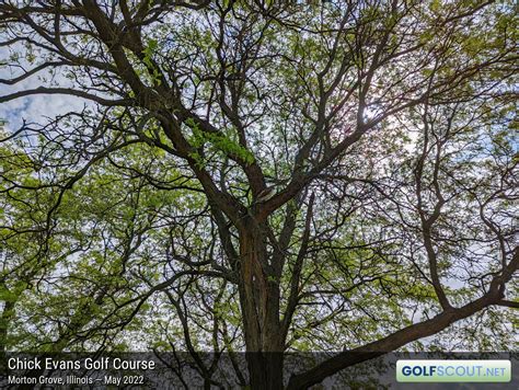 Chick Evans Golf Course: Course Guide with 124 Photos | GolfScout