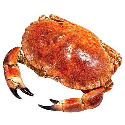 Buy Fish Special Fish - Crab, Medium Processed & Cleaned Online at Best ...