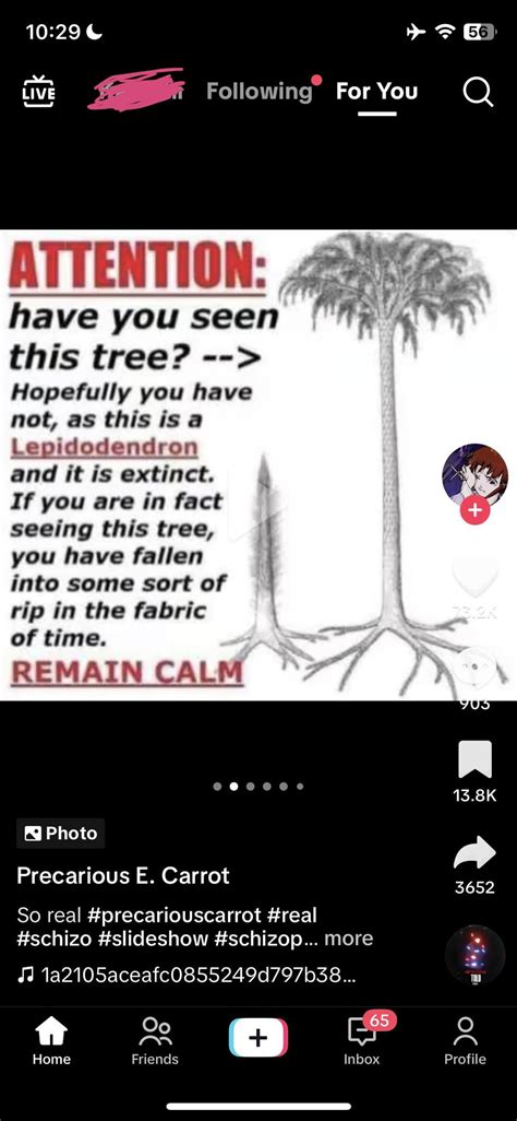 special tree is that you? : r/wendigoon