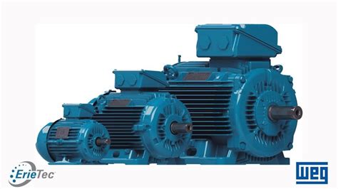 Image result for Troubleshooting Motor Problems