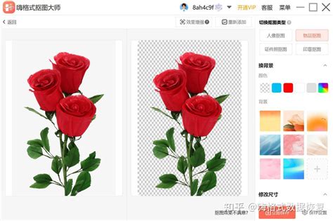 Ai 扣背景 的图像结果
