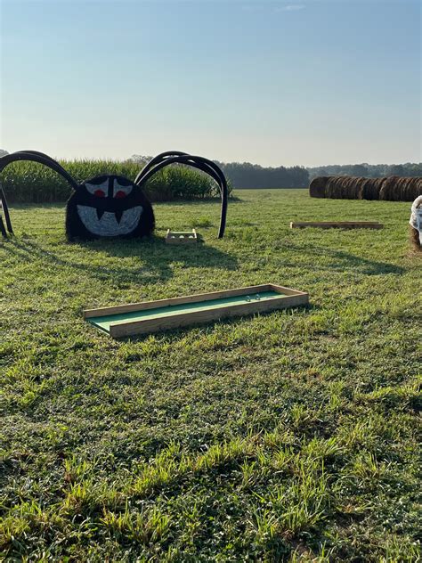 Playful Carnival Games | White House Pumpkin Patch