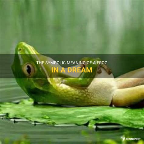 Meaning Of Dreams Frog