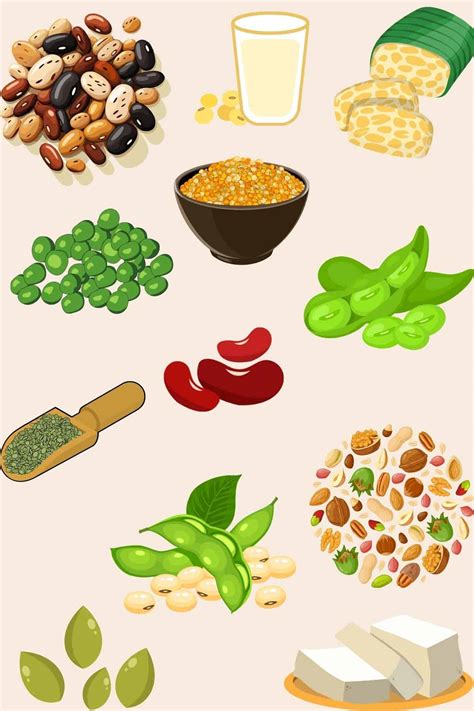 Best Proteins for Vegans with Recipes - Cooking For Peanuts