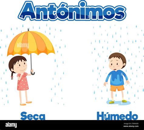 Illustrated word card with antonyms in Spanish: dry and wet means dry ...