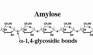 amylose 的图像结果