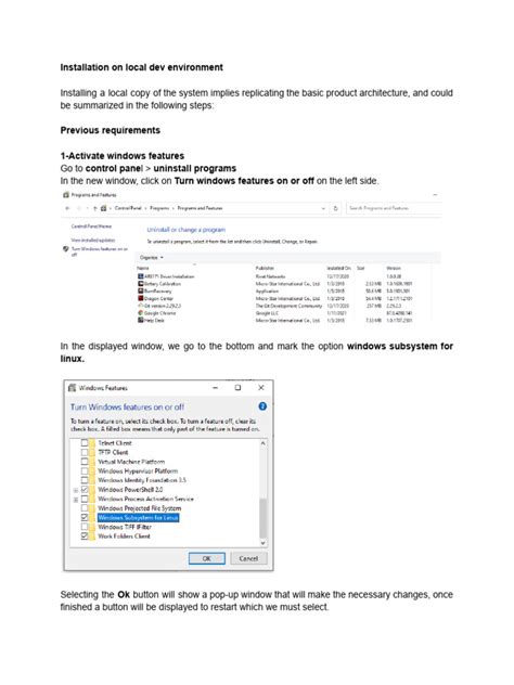 Local Dev Environment 的图像结果