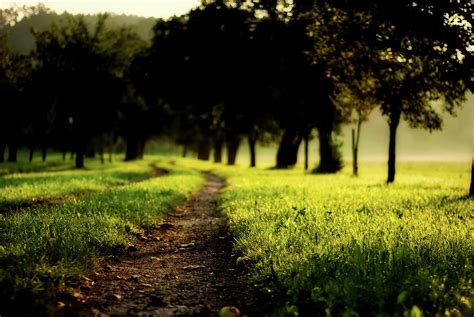 Image result for Background Images for JavaScript