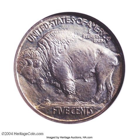 5 cents "Buffalo Nickel" (sol surélevé) - États-Unis – Numista