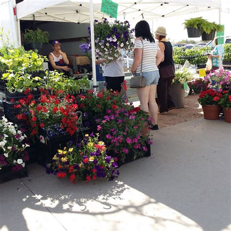 Longmont Farmers' Market (2026) - All You MUST Know Before You Go (with ...