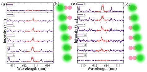 Spectral Modulation of Optofluidic Coupled-Microdisk Lasers in Aqueous ...