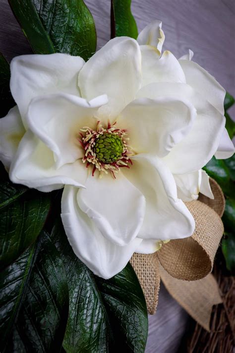 Magnolia Wreath, Magnolia Leaf Wreath, Front Door Wreath, Magnolias and ...