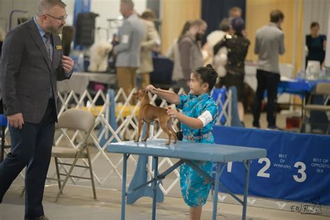 Stone City Kennel Club 2023 Dog Show | Joliet, IL - Showsight