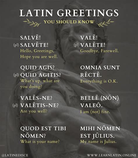 Pin by Dana Zhukova on Latin | Beautiful latin words, Latin quotes ...