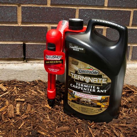 Buy Terminate 1.3 Gal. AccuShot Ready-to-Use Termite and Carpenter Ant ...