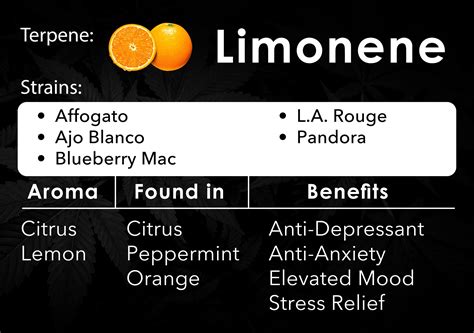Get To Know Your Terpenes — MAVEN GENETICS