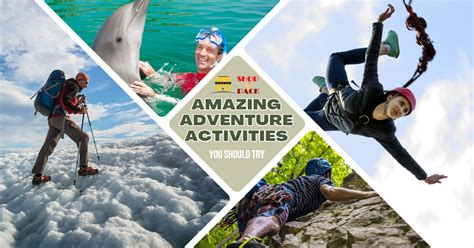 Amazing Views Adventure 的图像结果